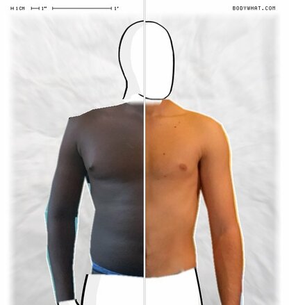 Torso Comparison