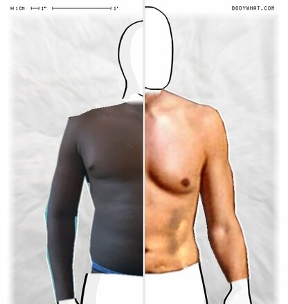 Torso Comparison