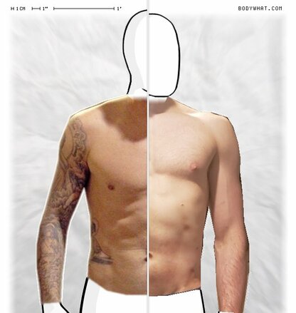 Torso Comparison