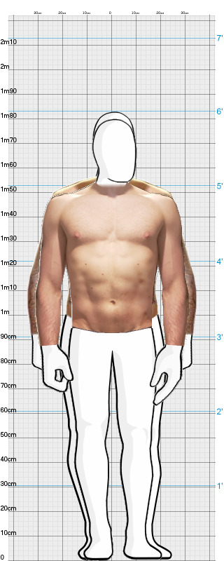 Full Size Comparison