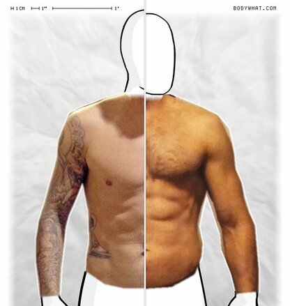 Torso Comparison