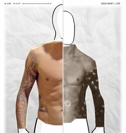 Torso Comparison