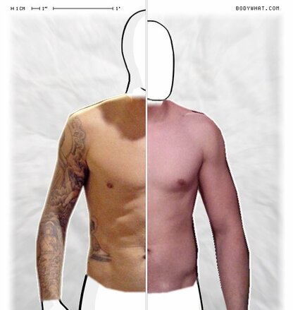 Torso Comparison