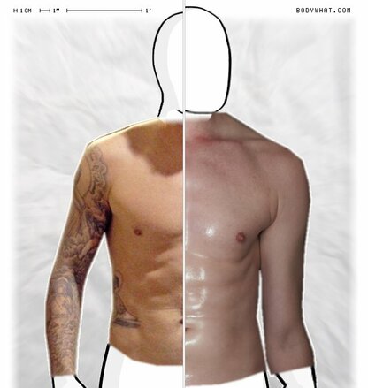 Torso Comparison