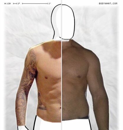 Torso Comparison