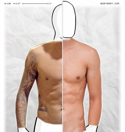 Torso Comparison