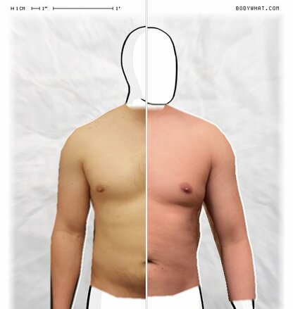 Torso Comparison