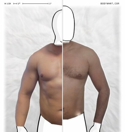 Torso Comparison