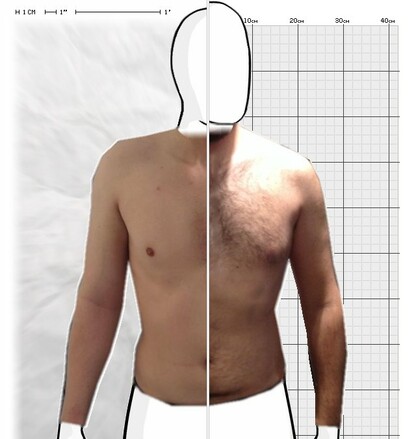 Torso Comparison