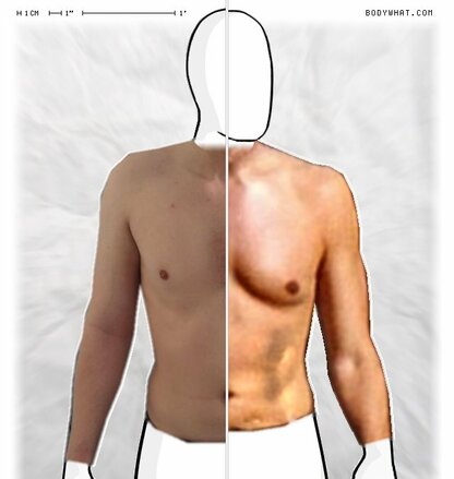 Torso Comparison