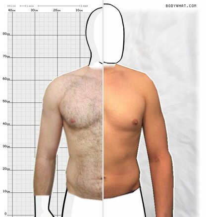 Torso Comparison