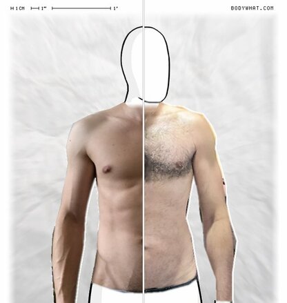 Torso Comparison