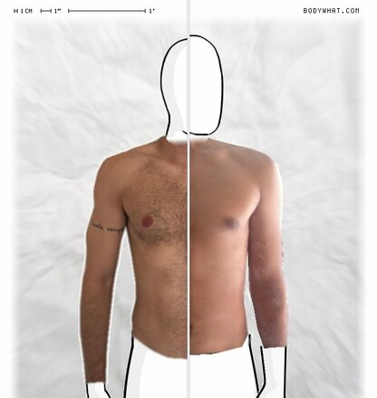 Torso Comparison