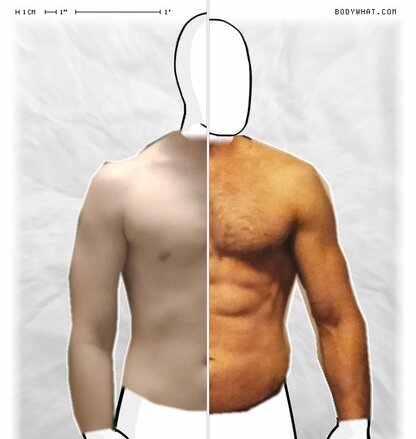 Torso Comparison