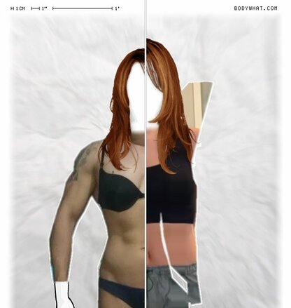 Torso Comparison