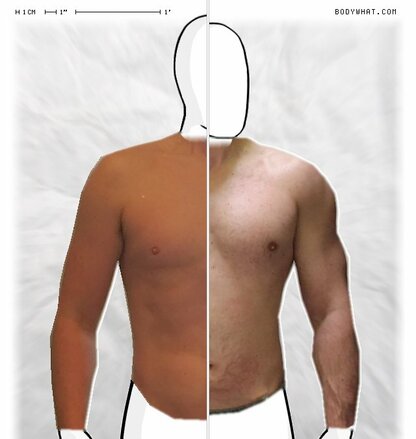 Torso Comparison