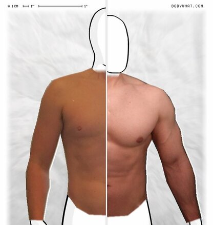 Torso Comparison