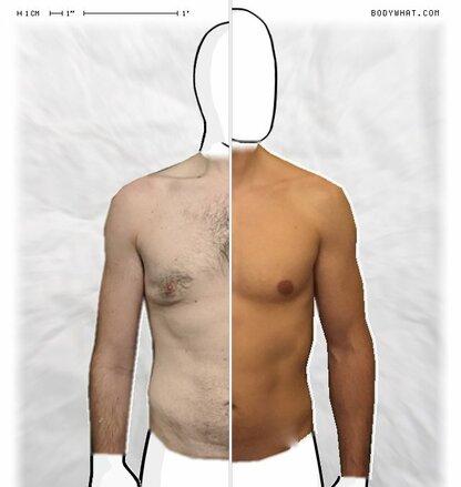 Torso Comparison