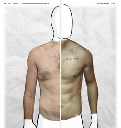 Torso Comparison