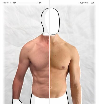 Torso Comparison