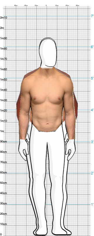 Full Size Comparison