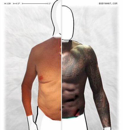 Torso Comparison