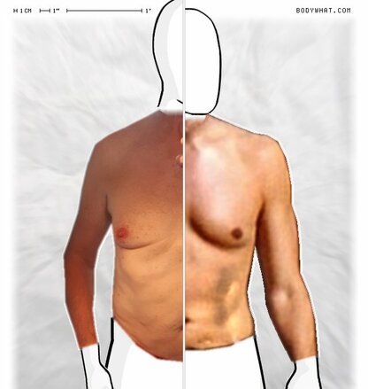 Torso Comparison