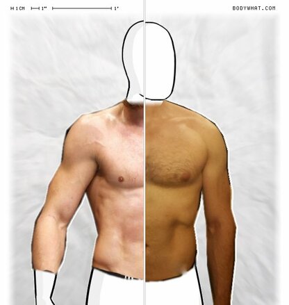 Torso Comparison