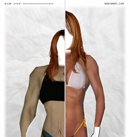 Torso Comparison