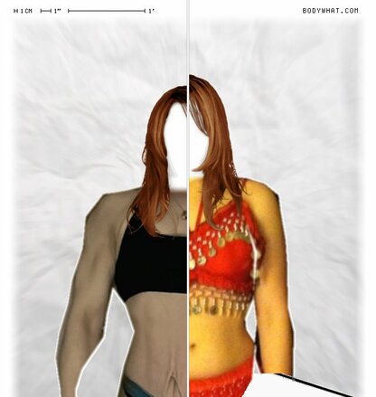 Torso Comparison