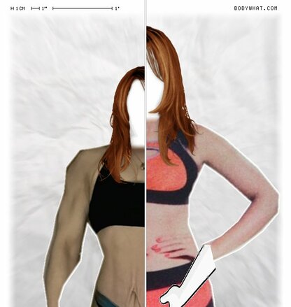 Torso Comparison