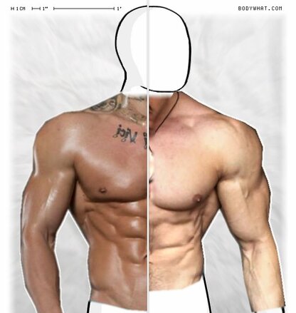 Torso Comparison