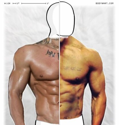 Torso Comparison