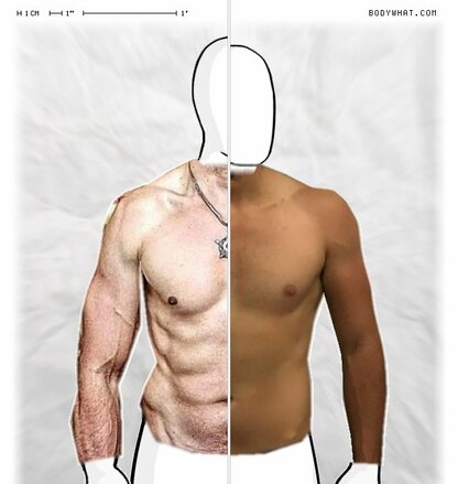 Torso Comparison