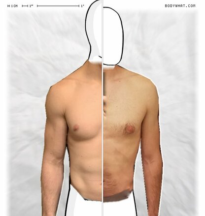 Torso Comparison