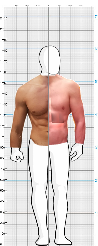 Full Size Comparison