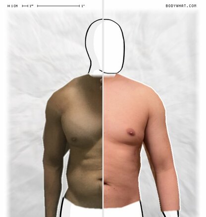 Torso Comparison