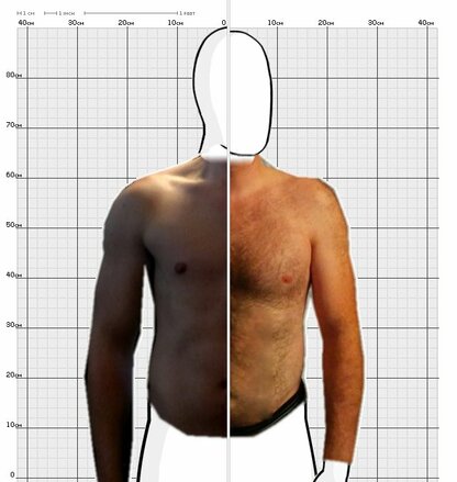 Torso Comparison