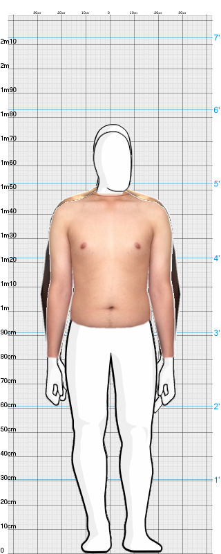 Full Size Comparison