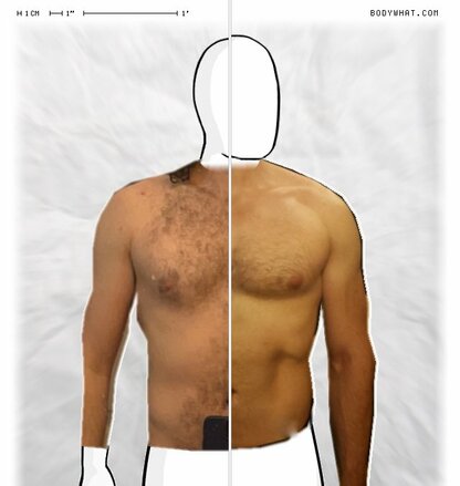 Torso Comparison