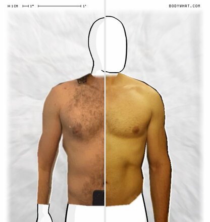 Torso Comparison
