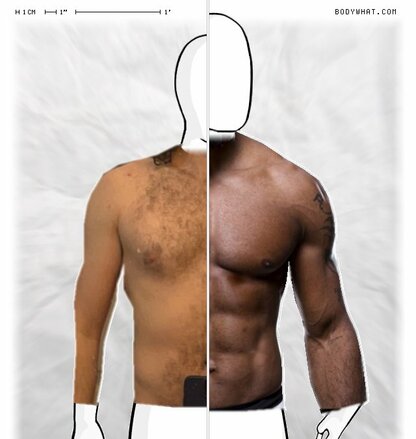 Torso Comparison