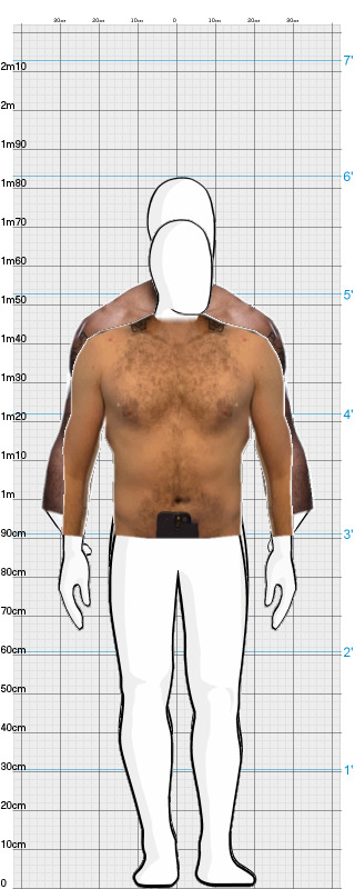 Full Size Comparison