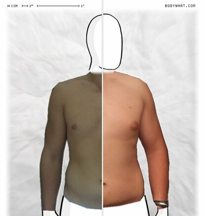 Torso Comparison