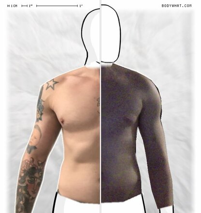 Torso Comparison