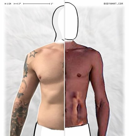 Torso Comparison