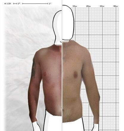 Torso Comparison