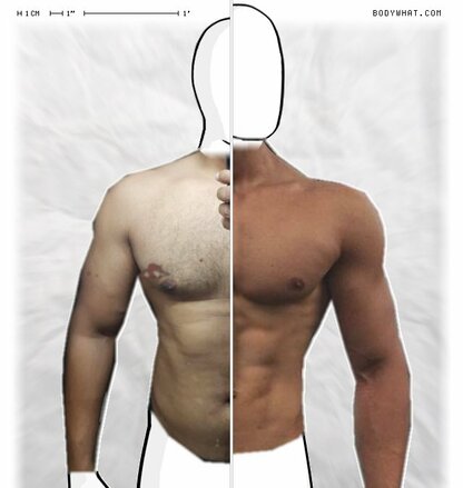 Torso Comparison