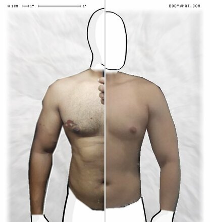 Torso Comparison