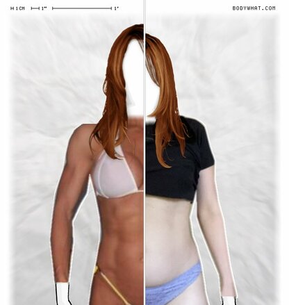 Torso Comparison